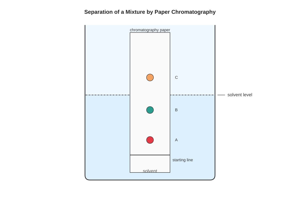 Diagram for placeholder 2 (SEC1 Science)
