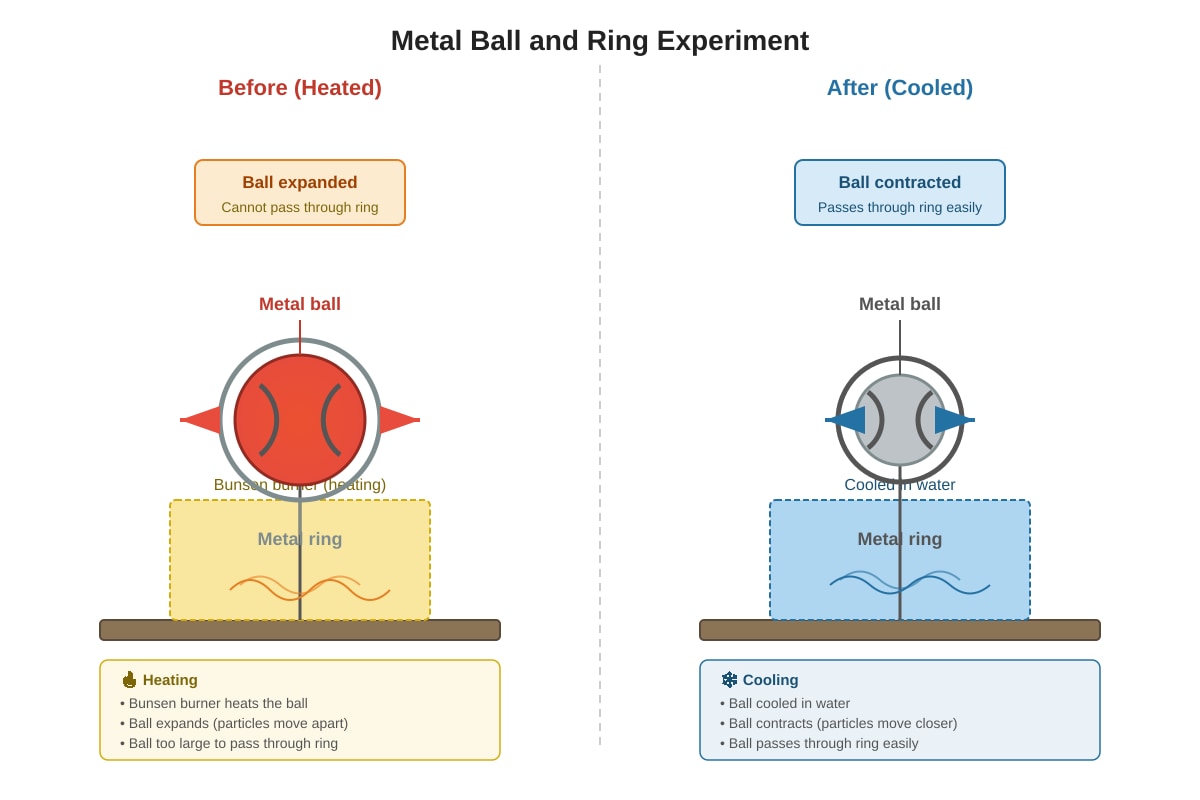 Experimental Setup for Q16 (P6 Science)