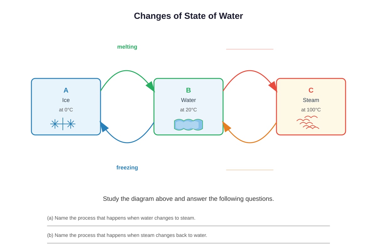 Diagram for Q15 (P4 Science)