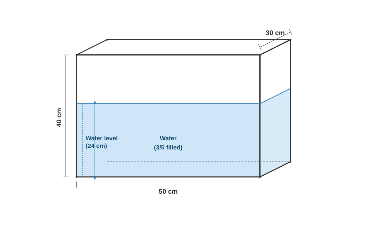 Figure for placeholder 2 (P6 Maths)