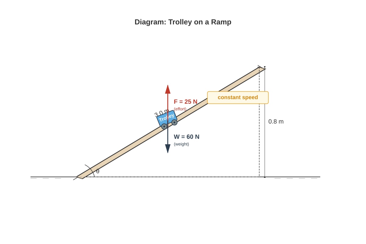 Diagram for Q20 (SEC1 Science)
