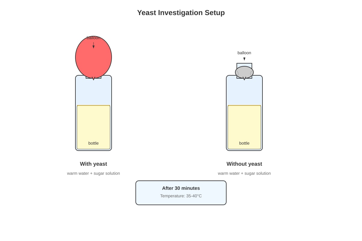 Experimental Setup for Q18 (P3 Science)