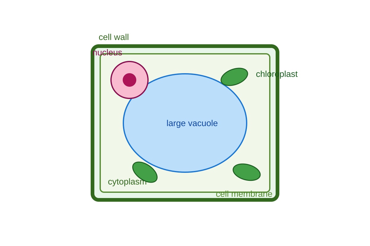 Diagram for Q15 (OLEVEL Combined Science)