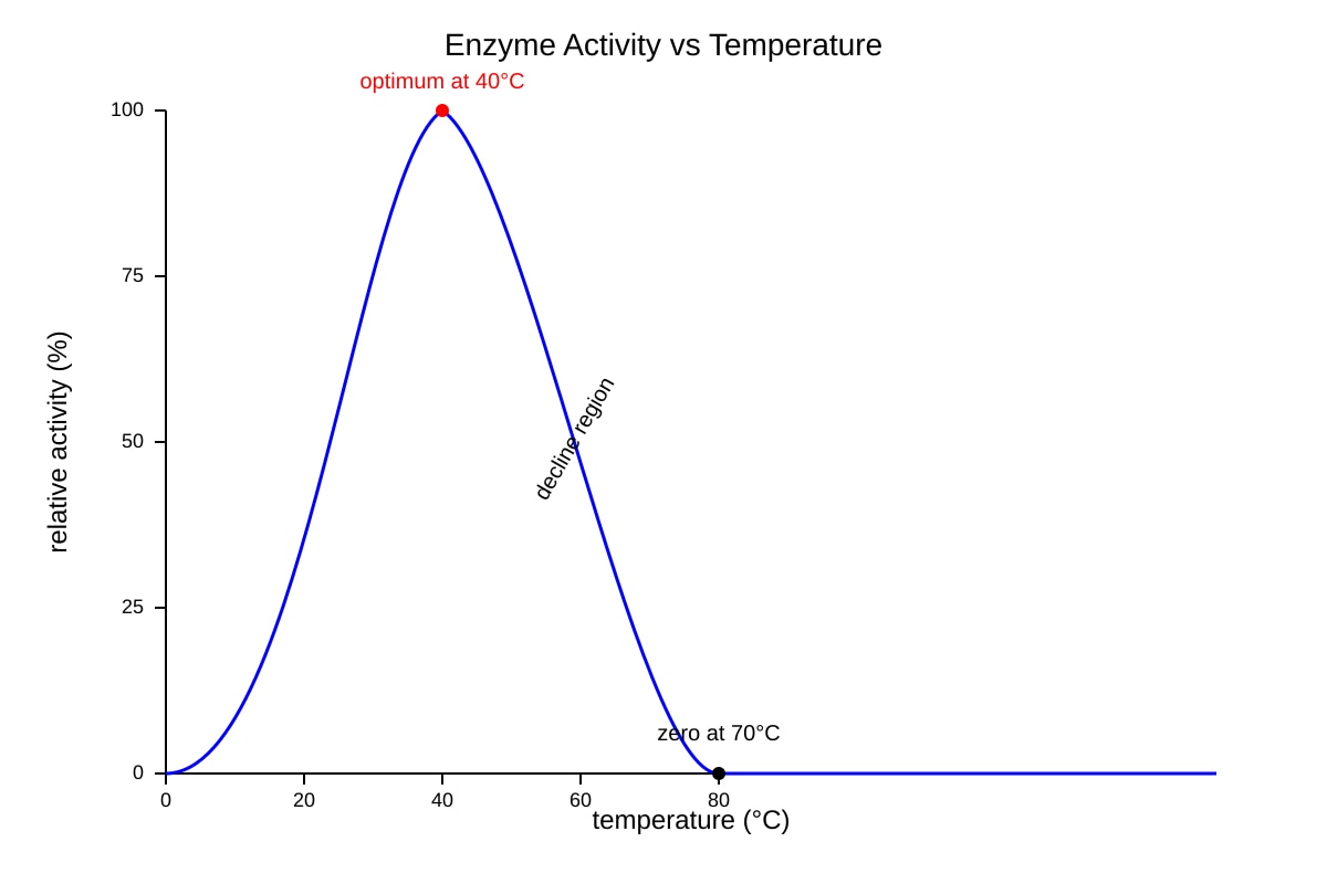 Graph for Q7 (ALEVEL Biology H2)