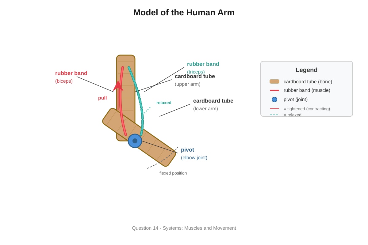 Experimental Setup for Q14 (P6 Science)