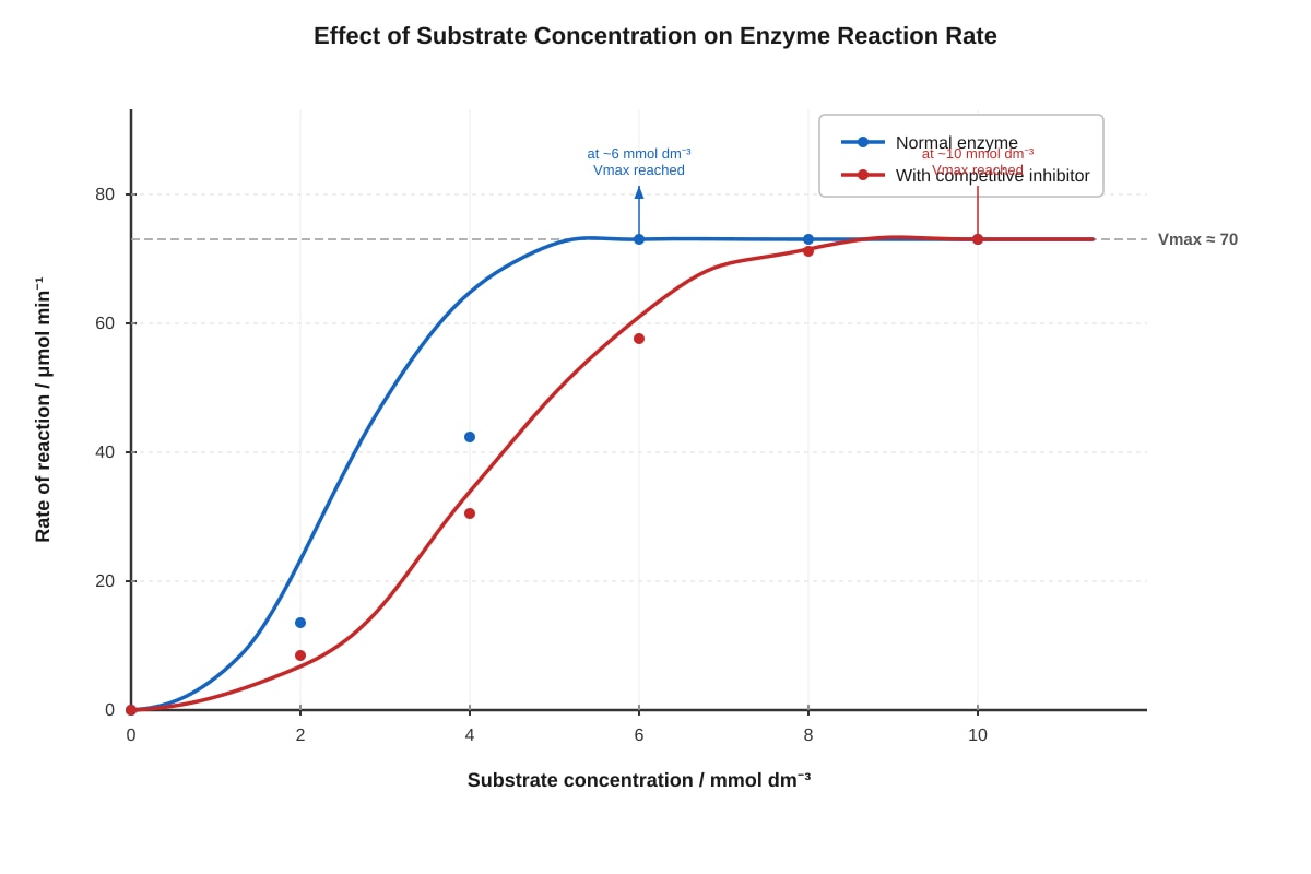 Graph for Q15 (SEC3 Biology)