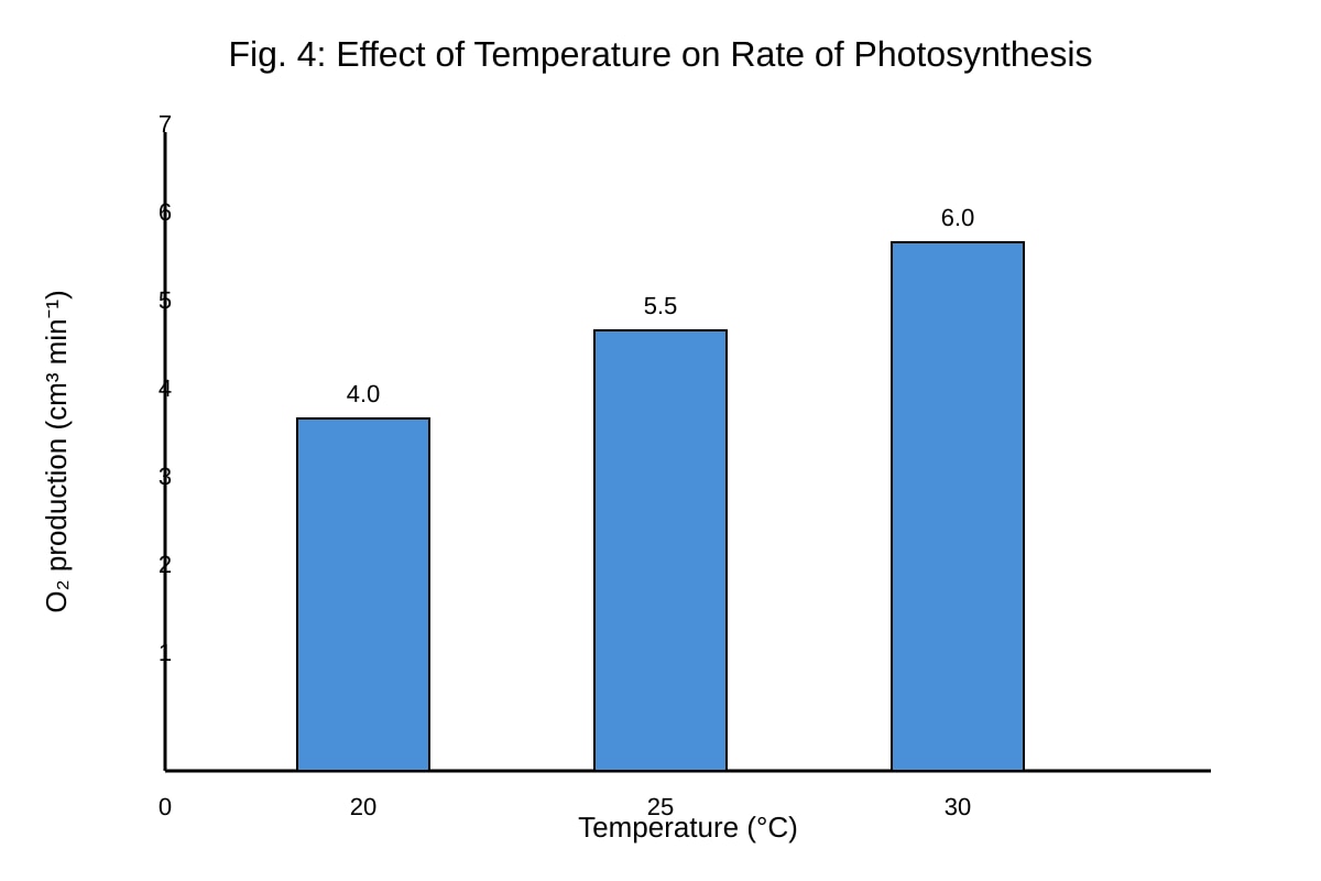 Graph for Q11 (ALEVEL Biology H1)