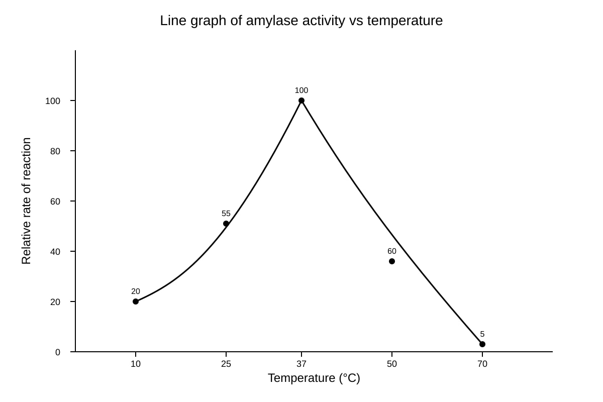 Graph for Q17 (SEC3 Biology)