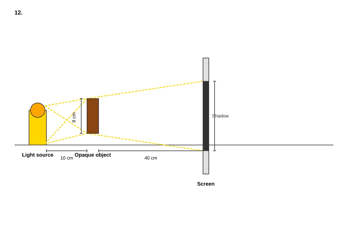 Diagram for Q12 (P4 Science)