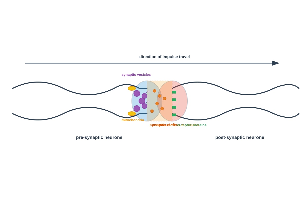Diagram for Q16 (SEC3 Biology)