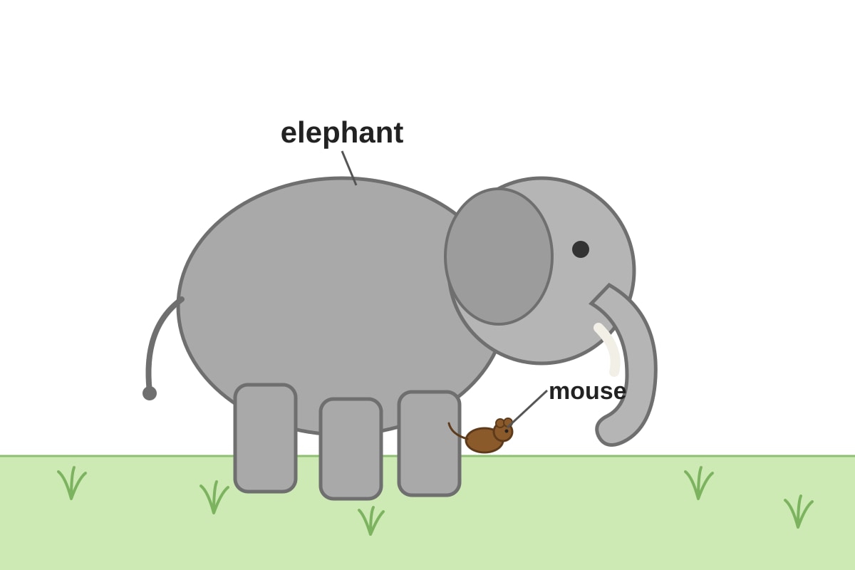 Figure for Q19 (P1 English)