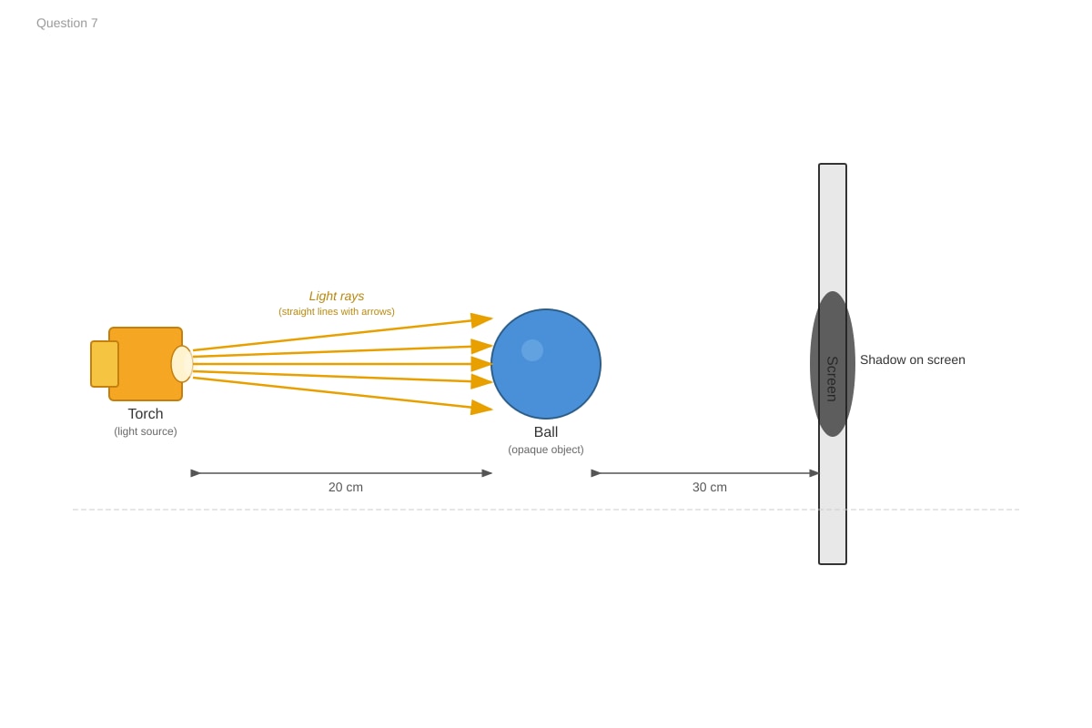 Diagram for Q7 (P4 Science)
