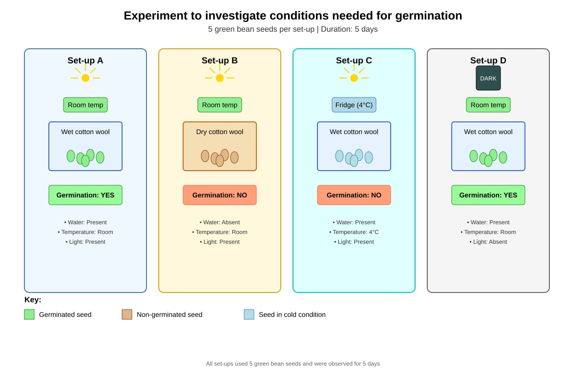 Experimental Setup for Q34 (P6 Science)