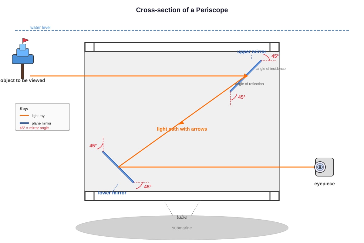 Diagram for Q19 (P6 Science)