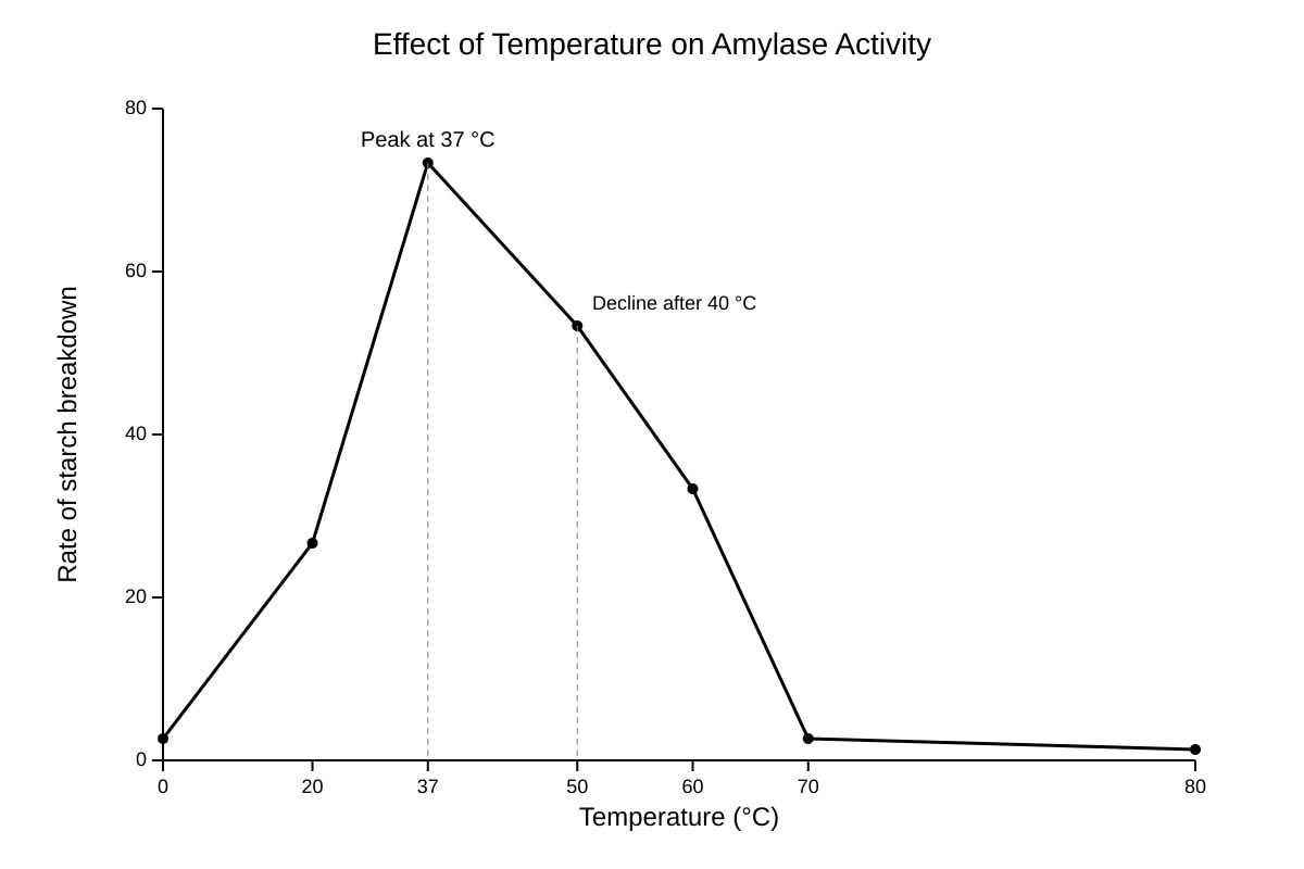 Graph for Q16 (SEC3 Biology)
