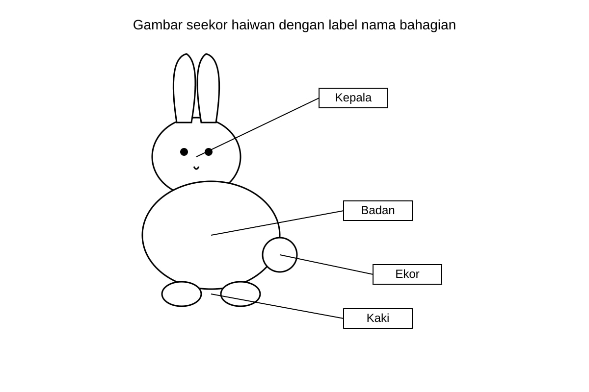 Figure for Q20 (P5 Malay)