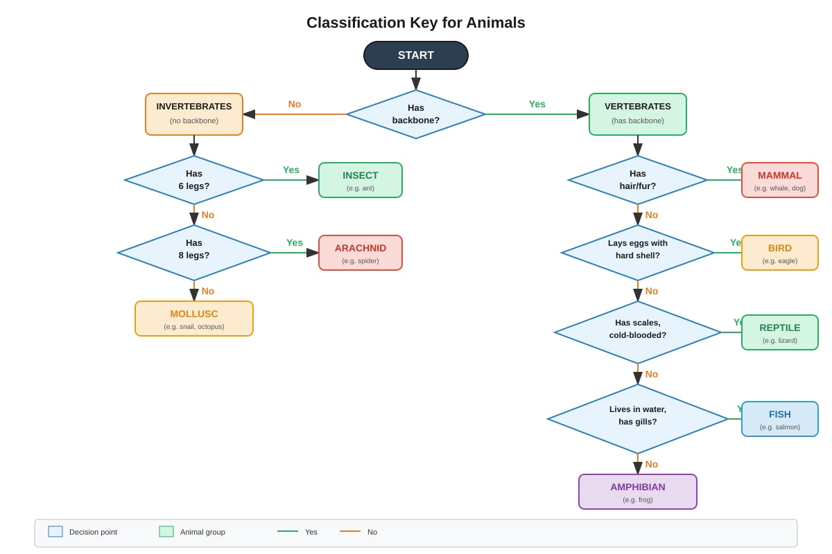 Flowchart for Q40 (P5 Science)