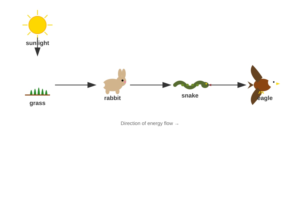 Diagram for Q5 (P5 Science)