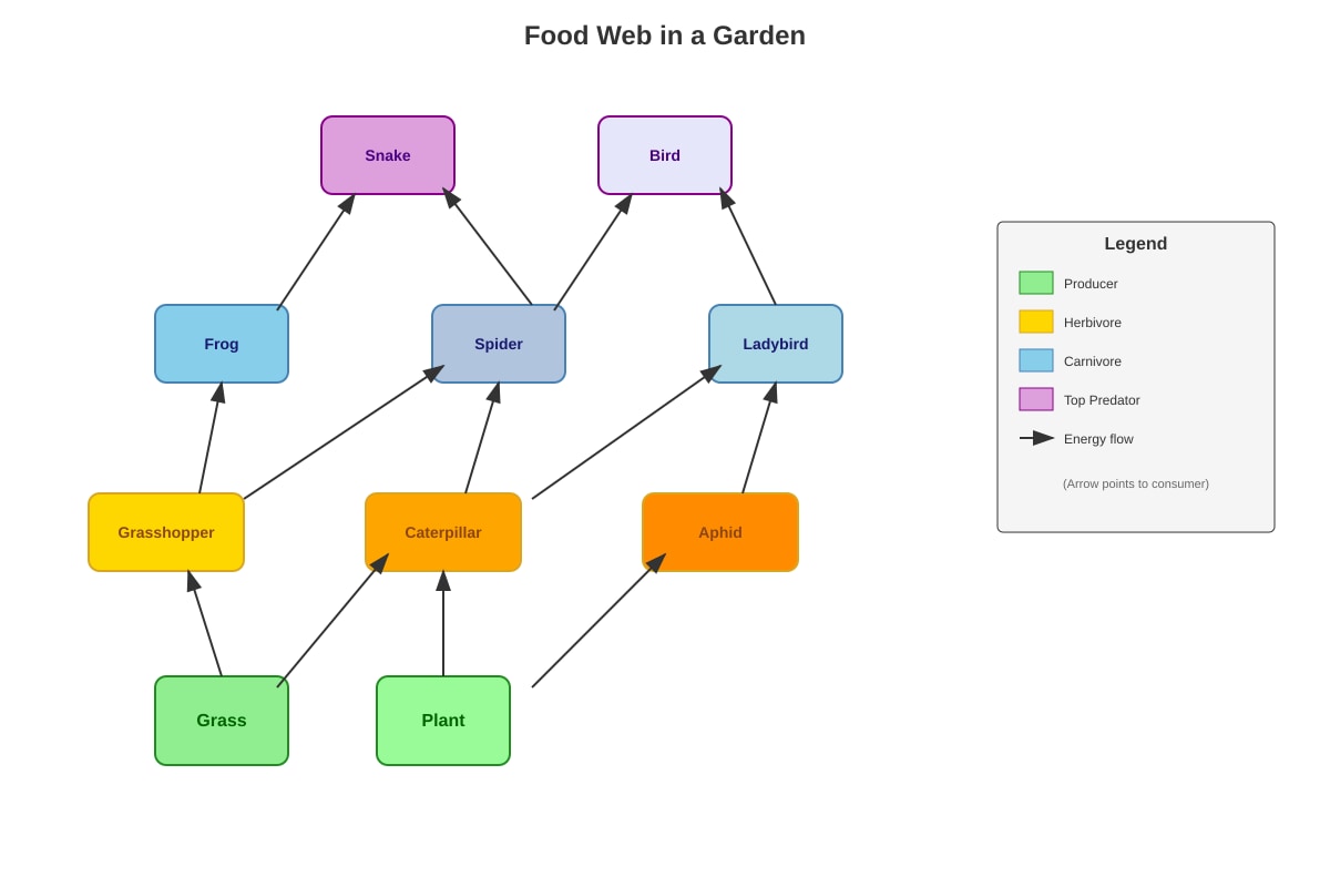 Diagram for Q36 (P5 Science)