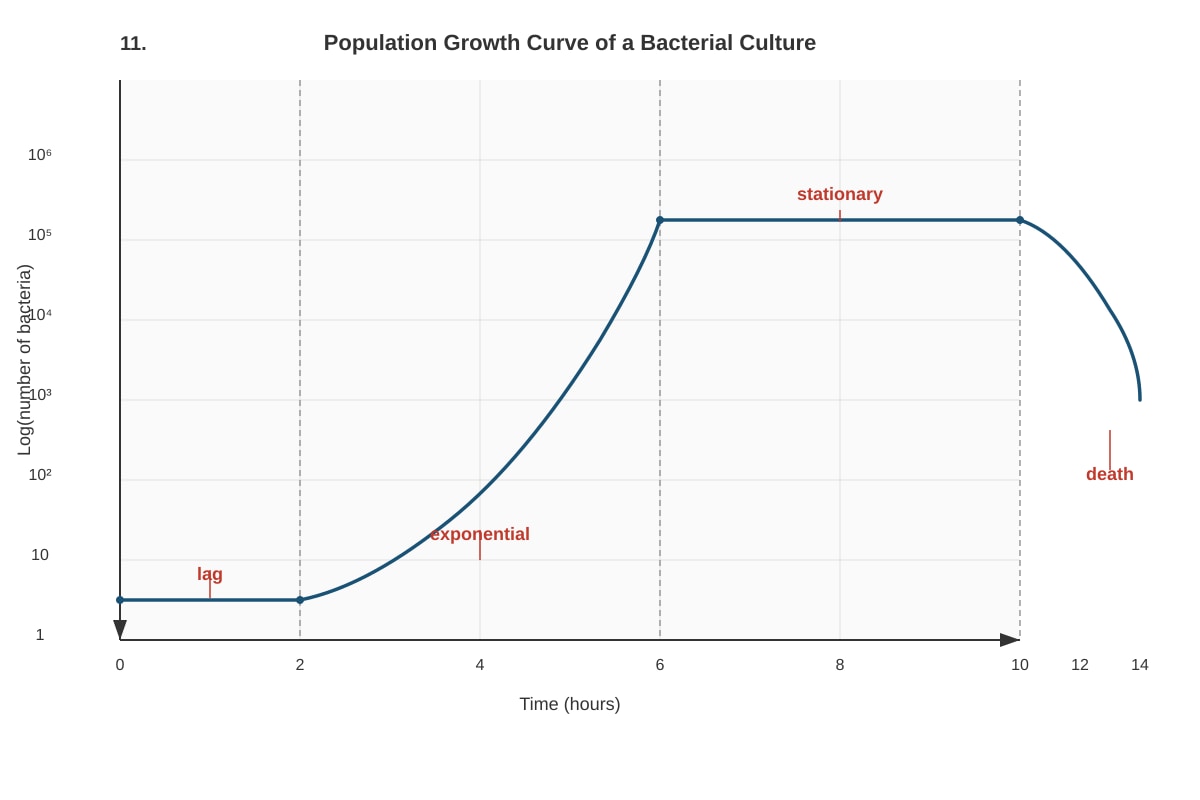 Graph for Q11 (ALEVEL Biology H3)