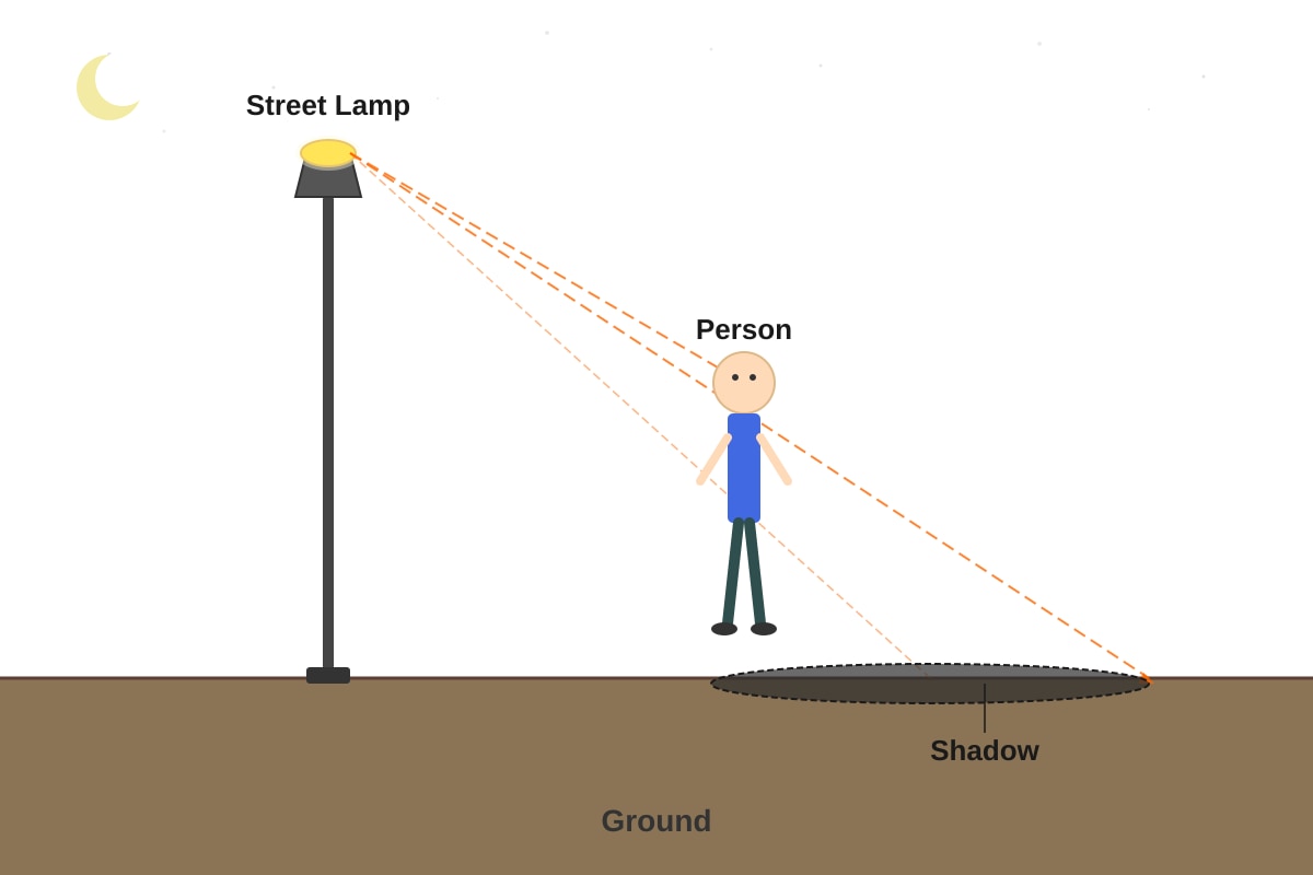Diagram for Q12 (P4 Science)