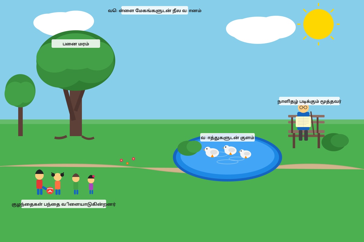 Diagram for Q16 (P3 Tamil)