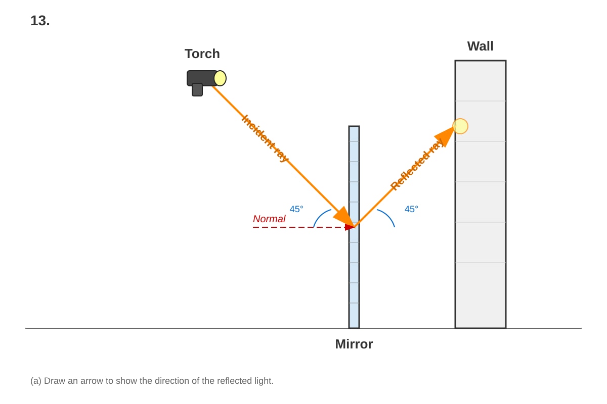 Diagram for Q13 (P4 Science)