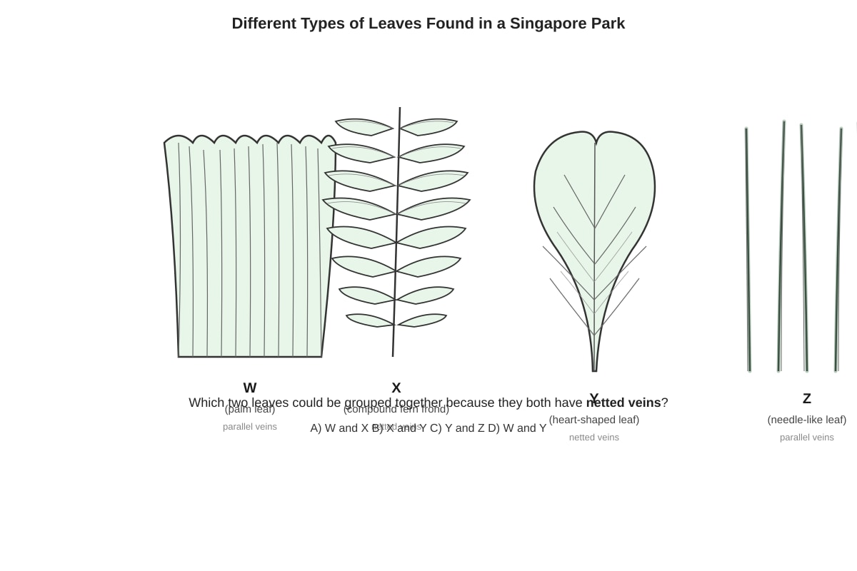 Diagram for Q3 (P4 Science)
