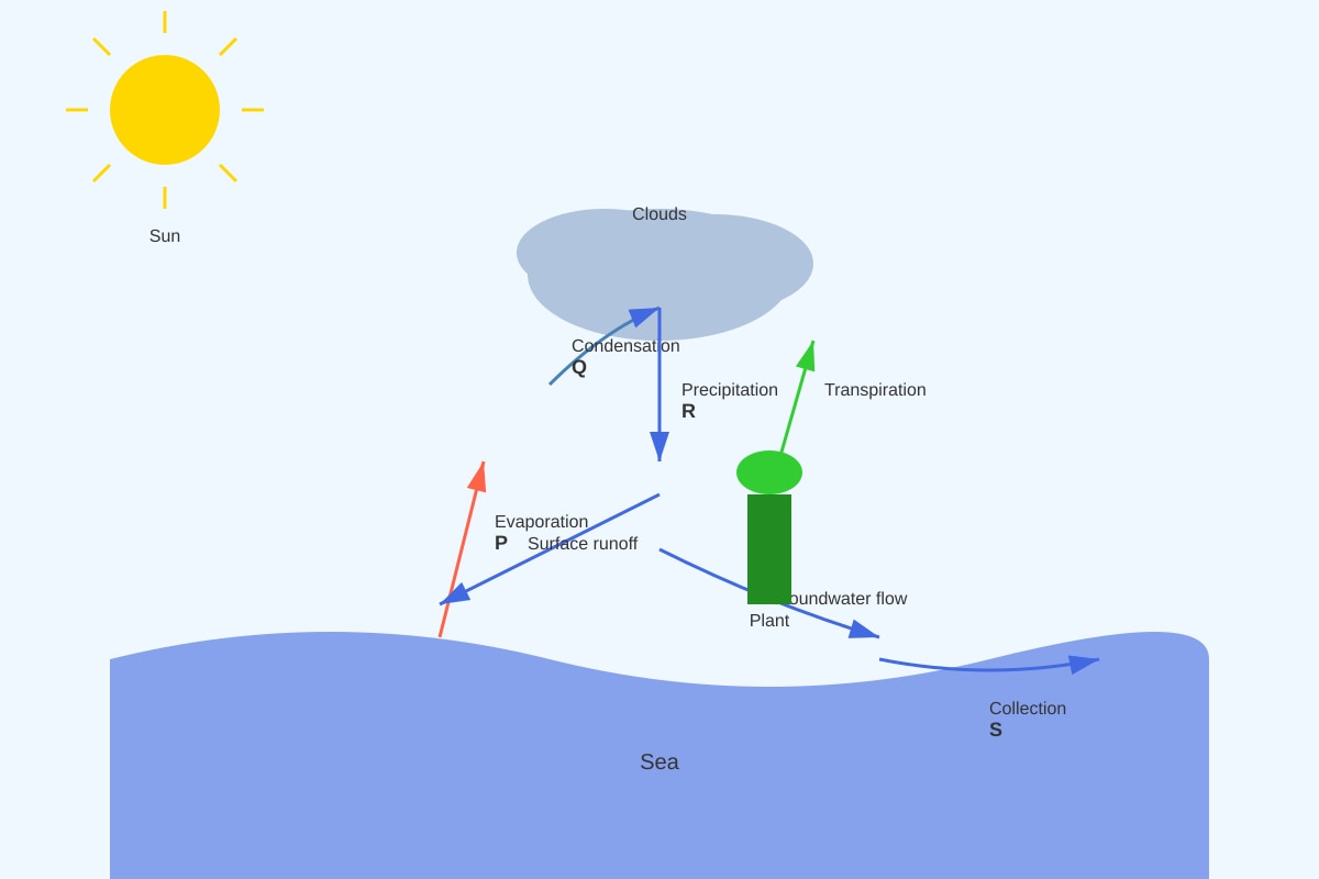 Diagram for Q35 (P5 Science)