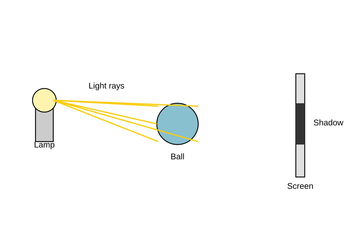 Diagram for Q18 (P5 Science)