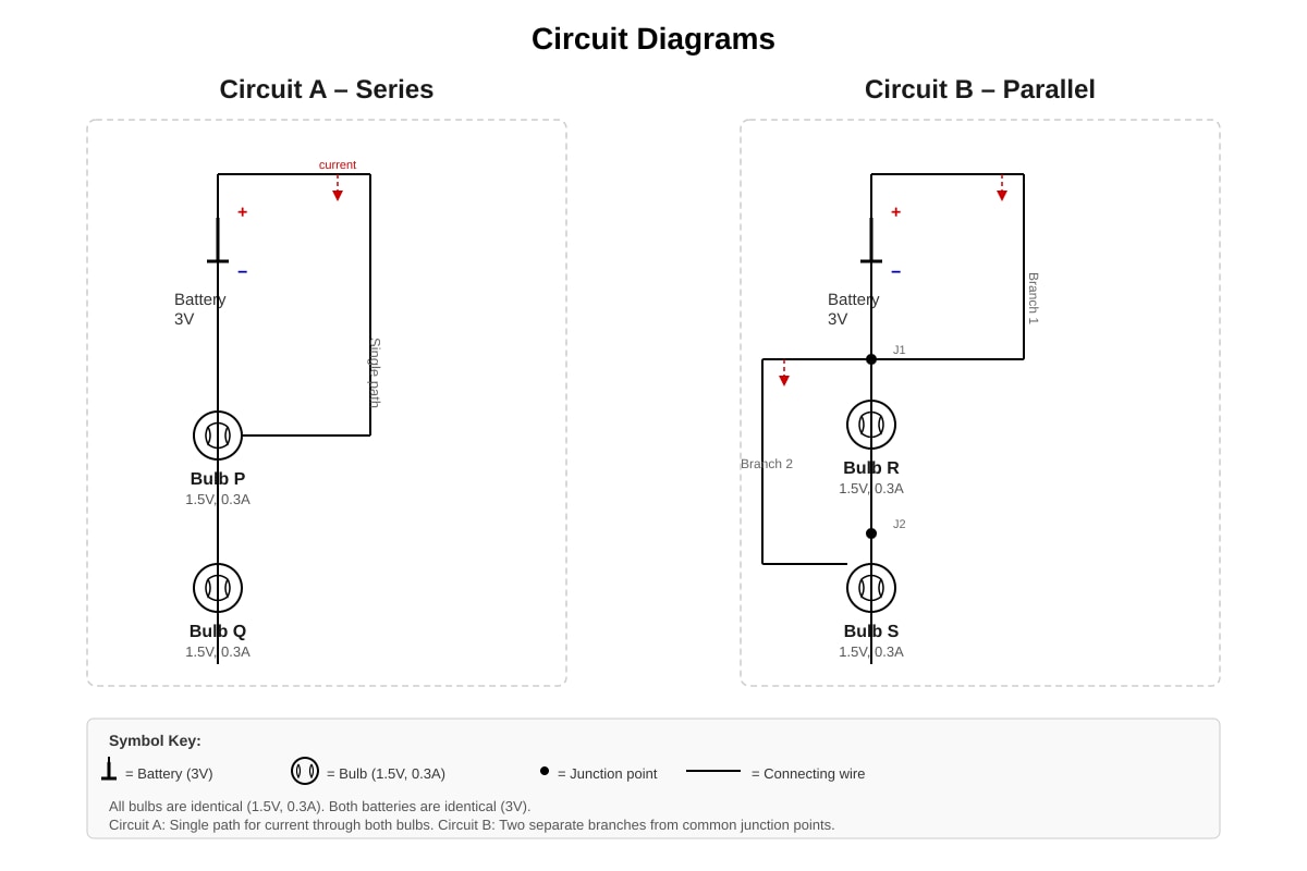 Diagram for Q16 (P3 Science)