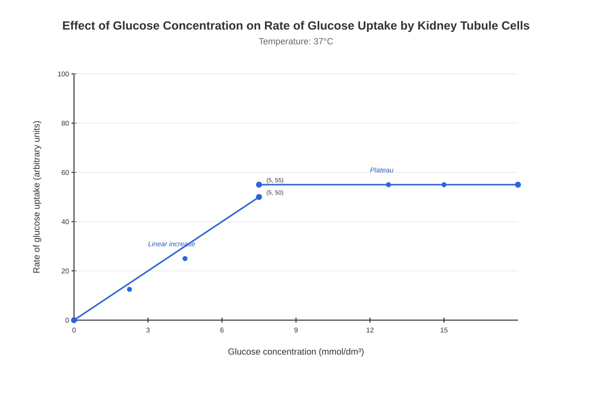 Graph for Q14 (SEC3 Biology)