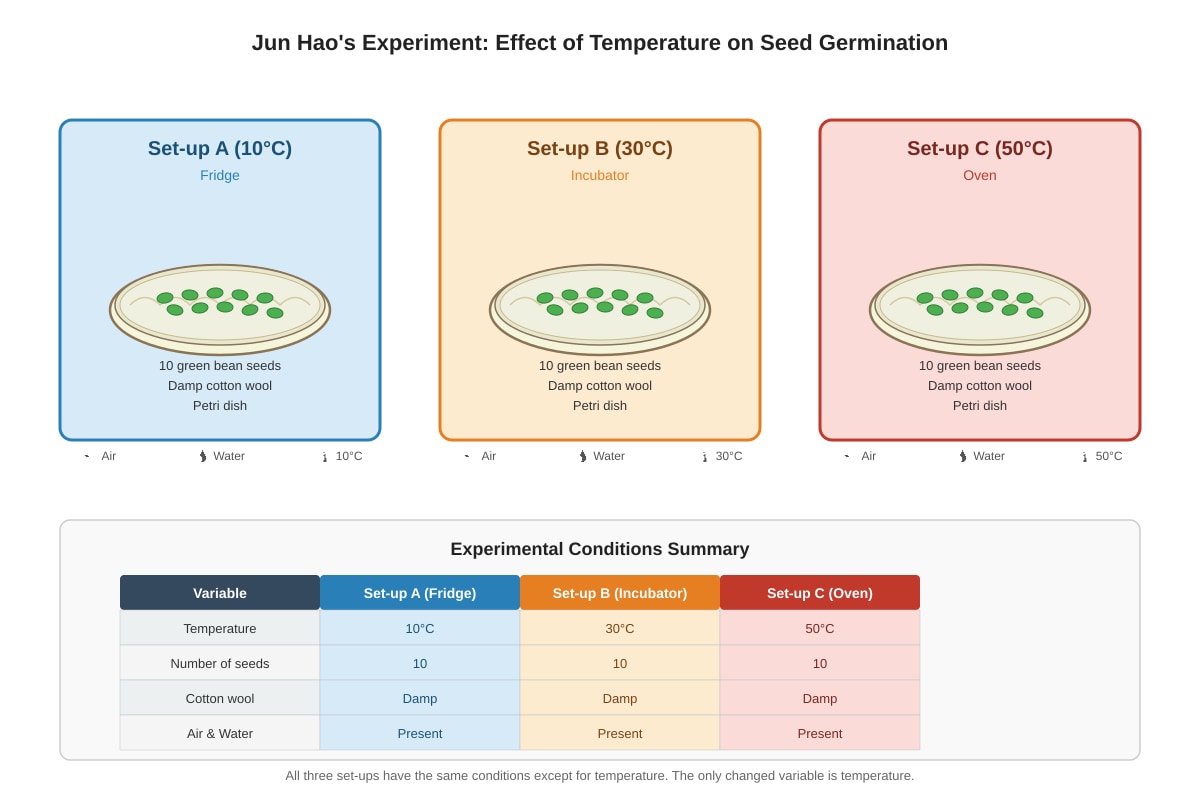 Experimental Setup for Q31 (P5 Science)