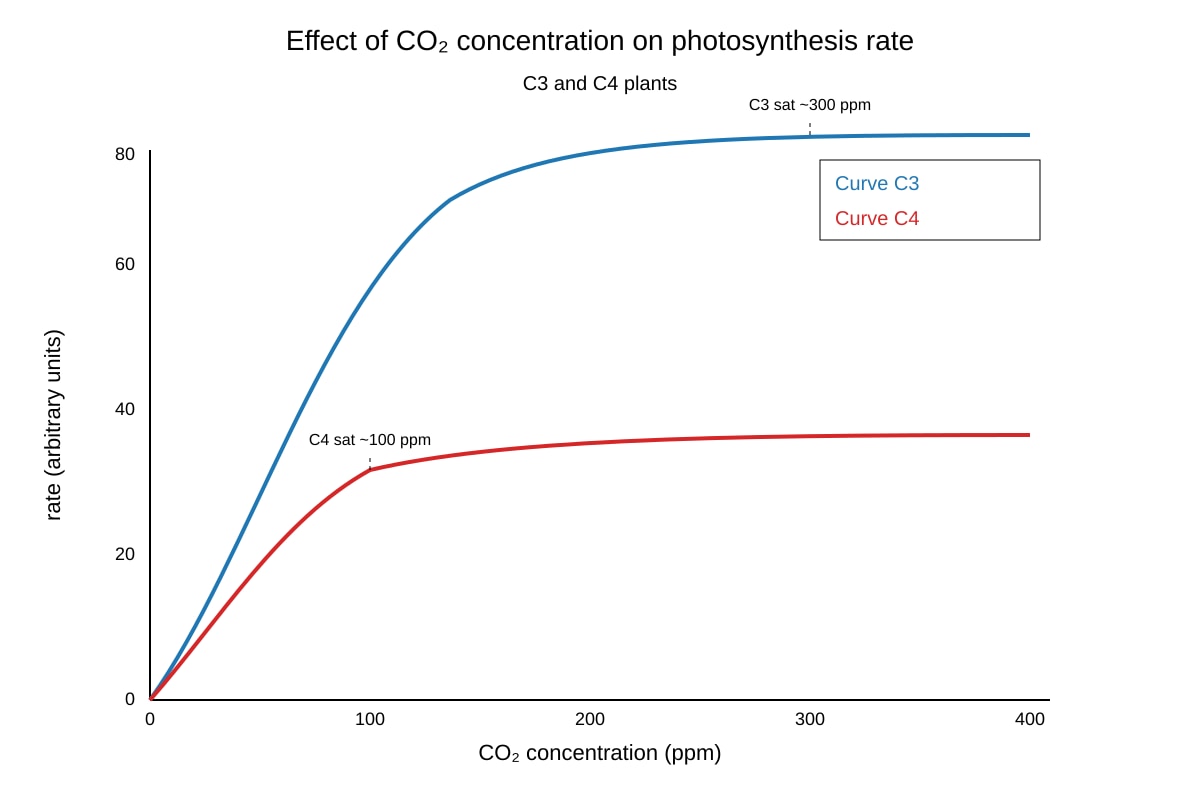Graph for Q16 (ALEVEL Biology H2)