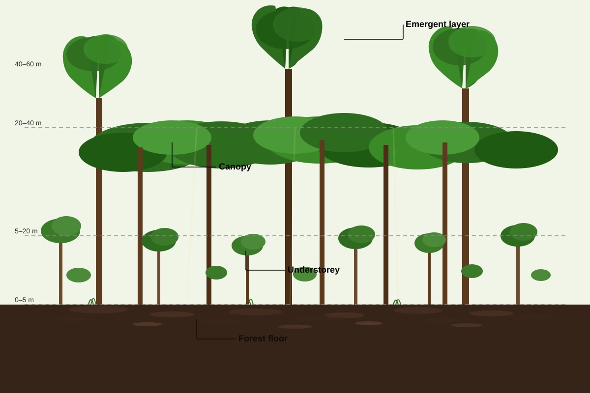 Diagram for Q6 (SEC2 Geography)