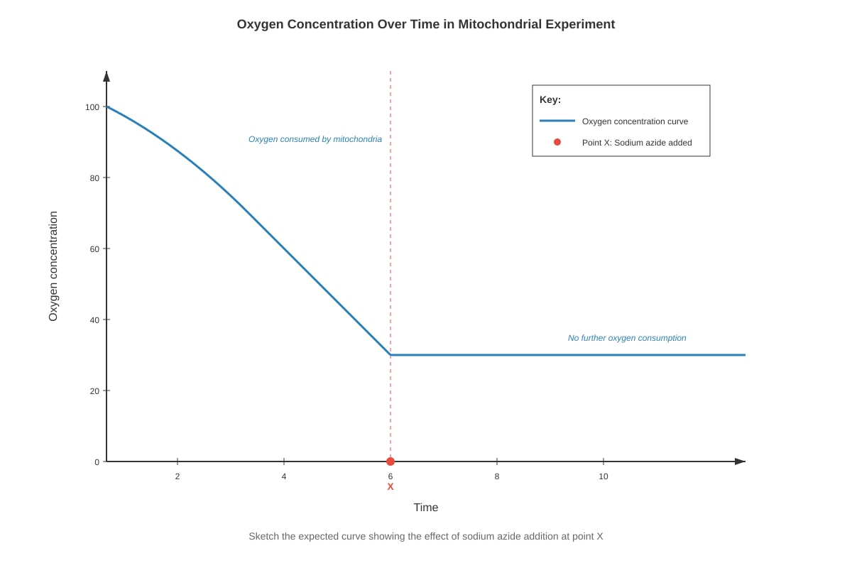 Graph for placeholder 1 (ALEVEL Biology H2)
