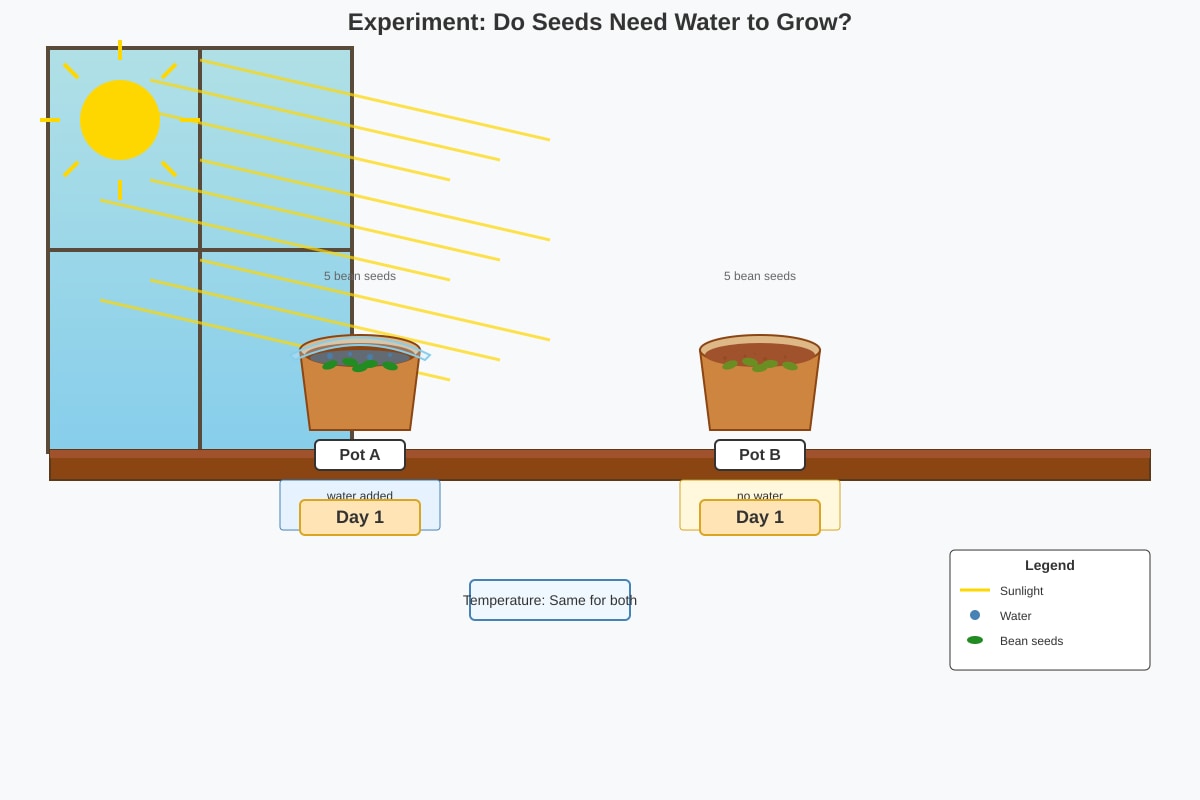 Experimental Setup for Q17 (P3 Science)