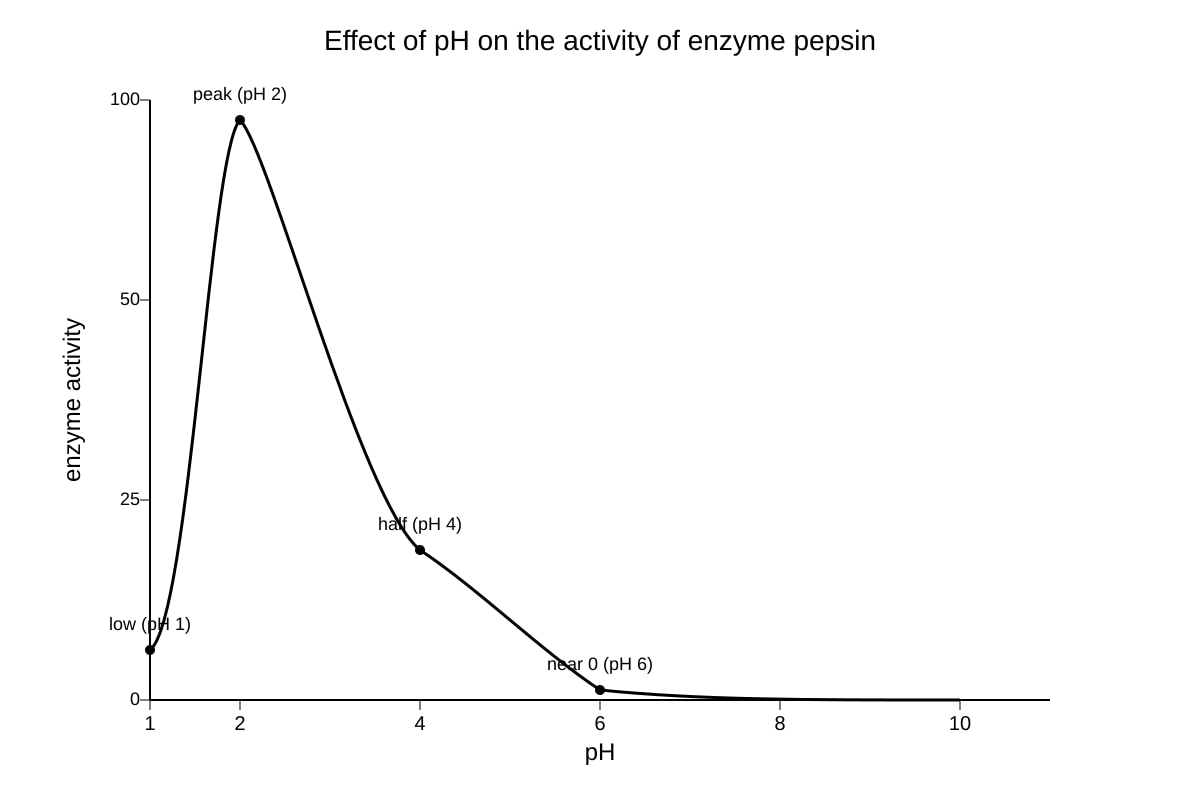Graph for Q13 (SEC4 Pure Biology)