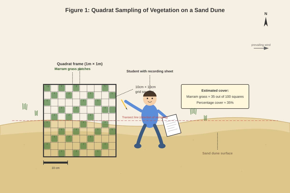 Diagram for Q6 (ALEVEL Geography H1)