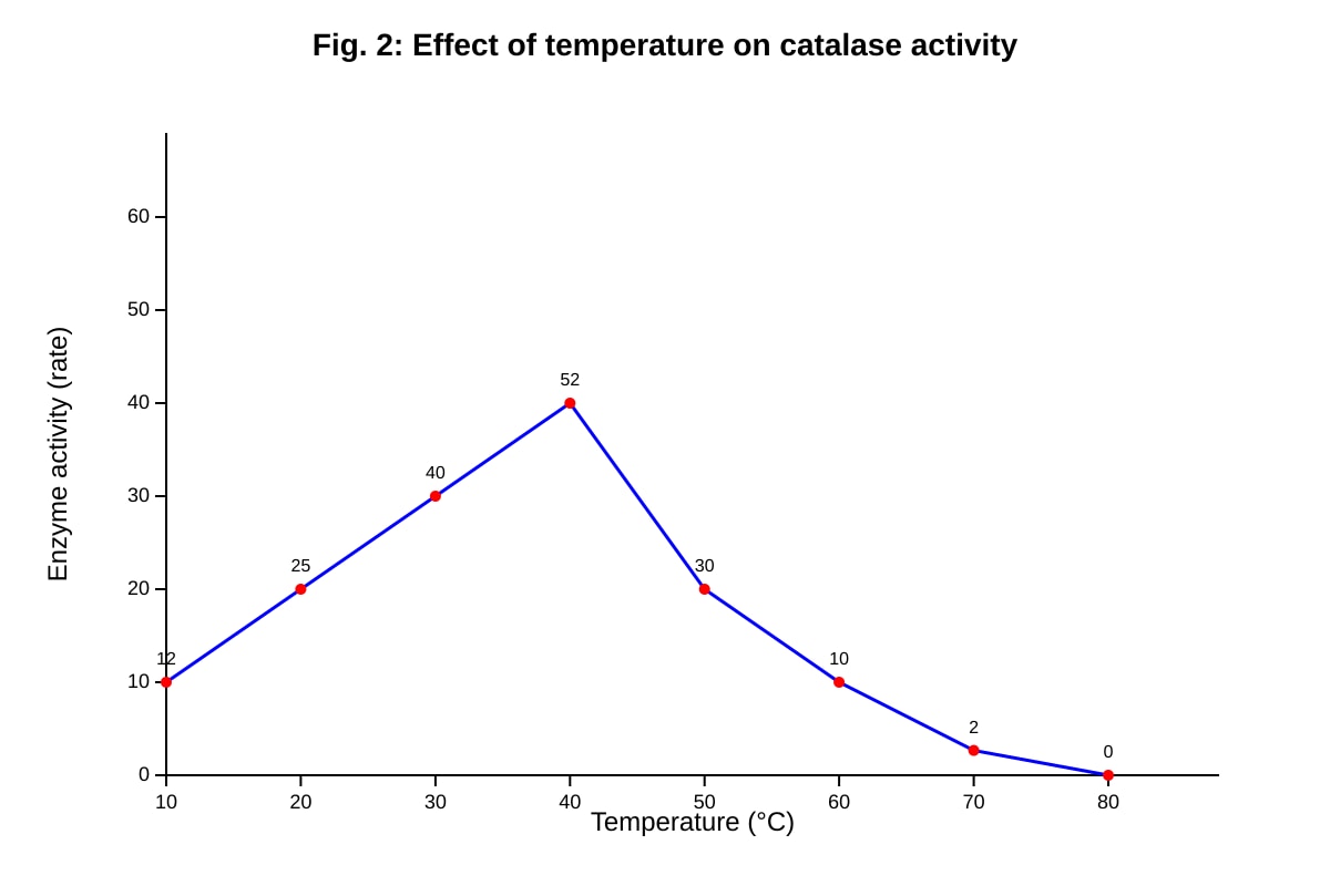 Graph for Q11 (SEC4 Pure Biology)