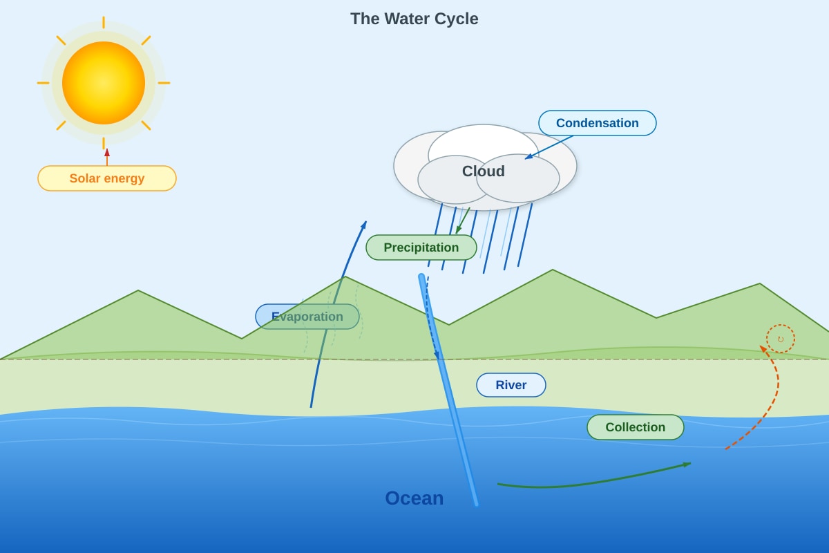 Diagram for Q23 (P6 Science)