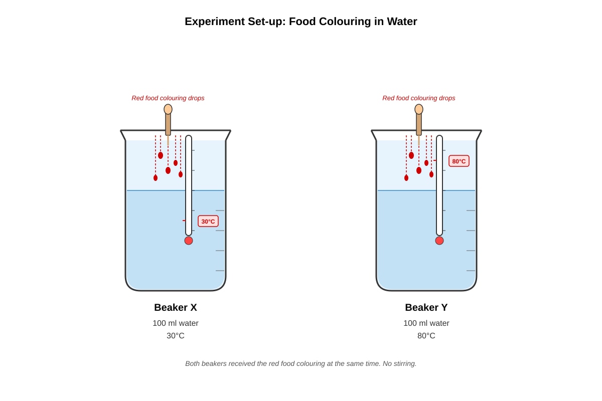 Experimental Setup for Q20 (P4 Science)