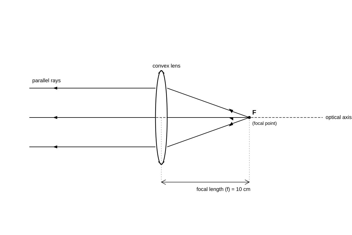 Diagram for Q13 (P6 Science)