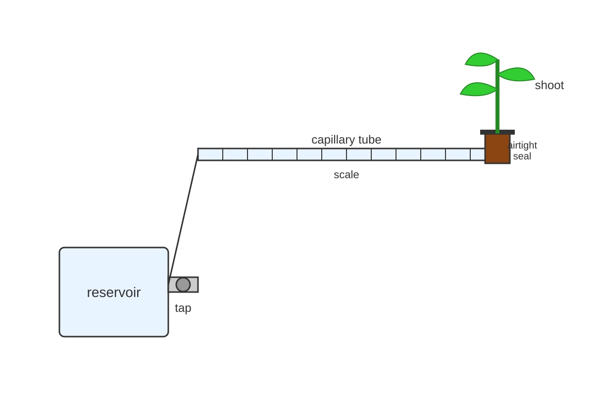 Experimental Setup for Q18 (OLEVEL Biology)