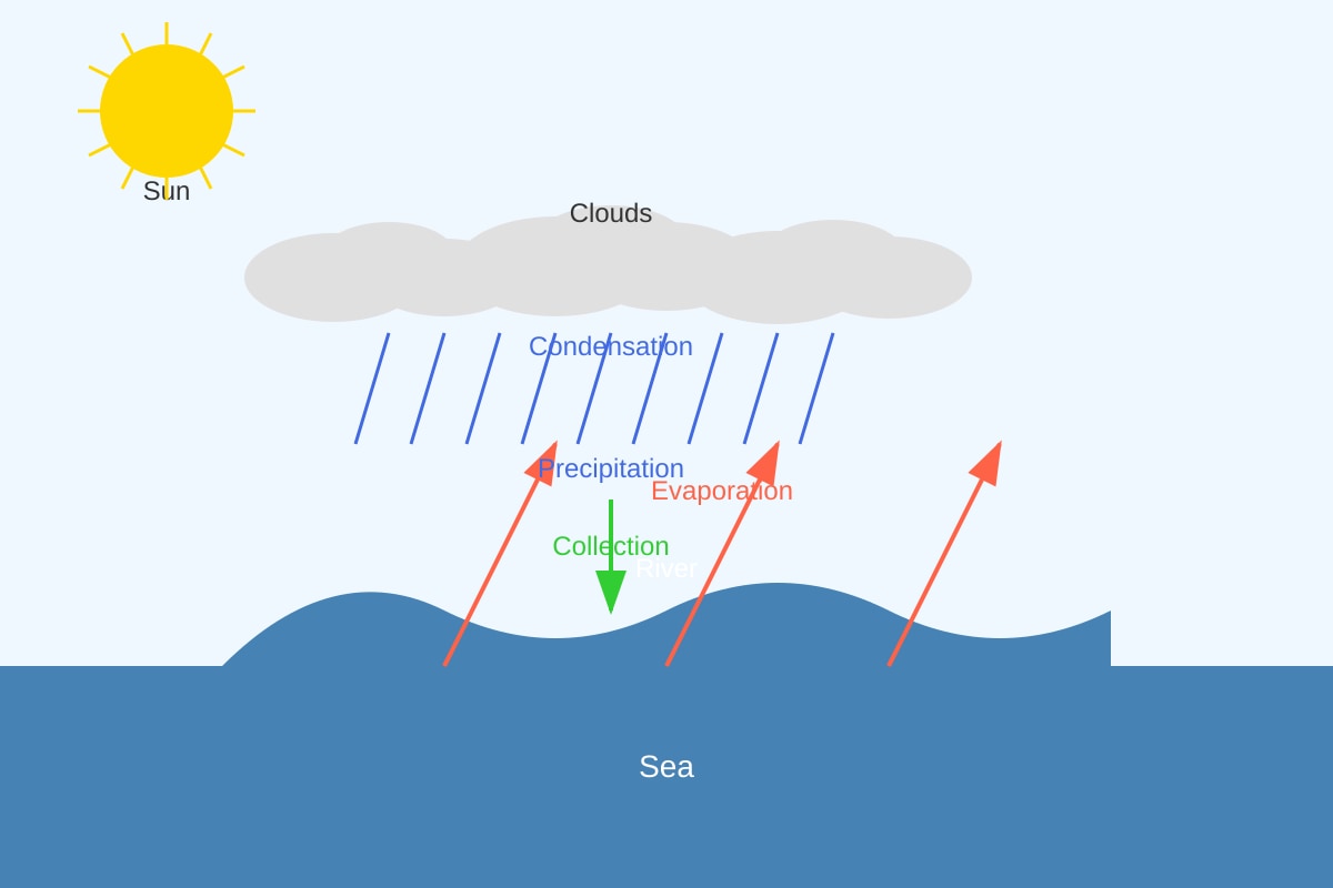 Diagram for Q10 (P5 Science)