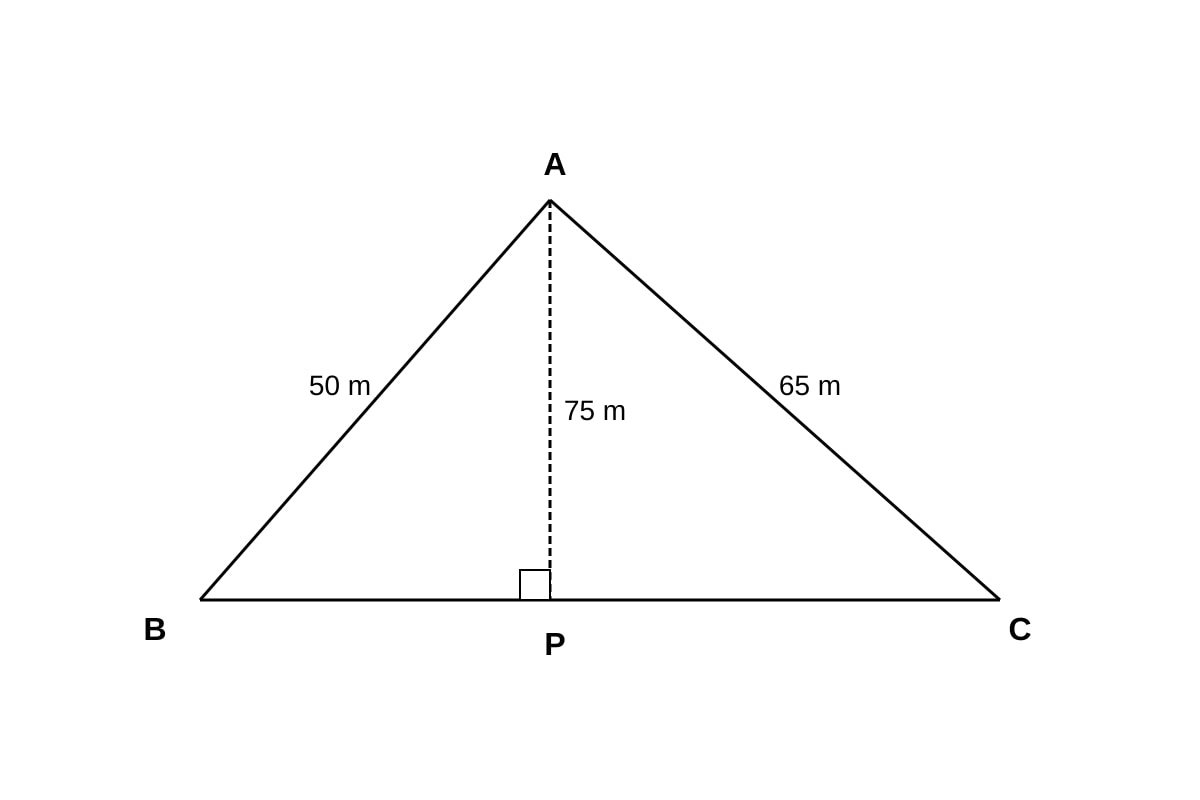 Diagram for Q19 (SEC3 Emaths)
