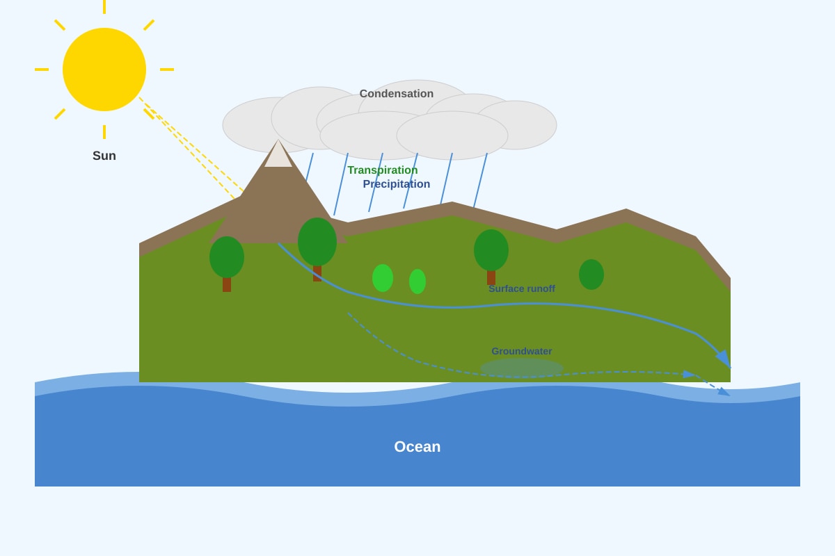 Diagram for Q35 (P6 Science)
