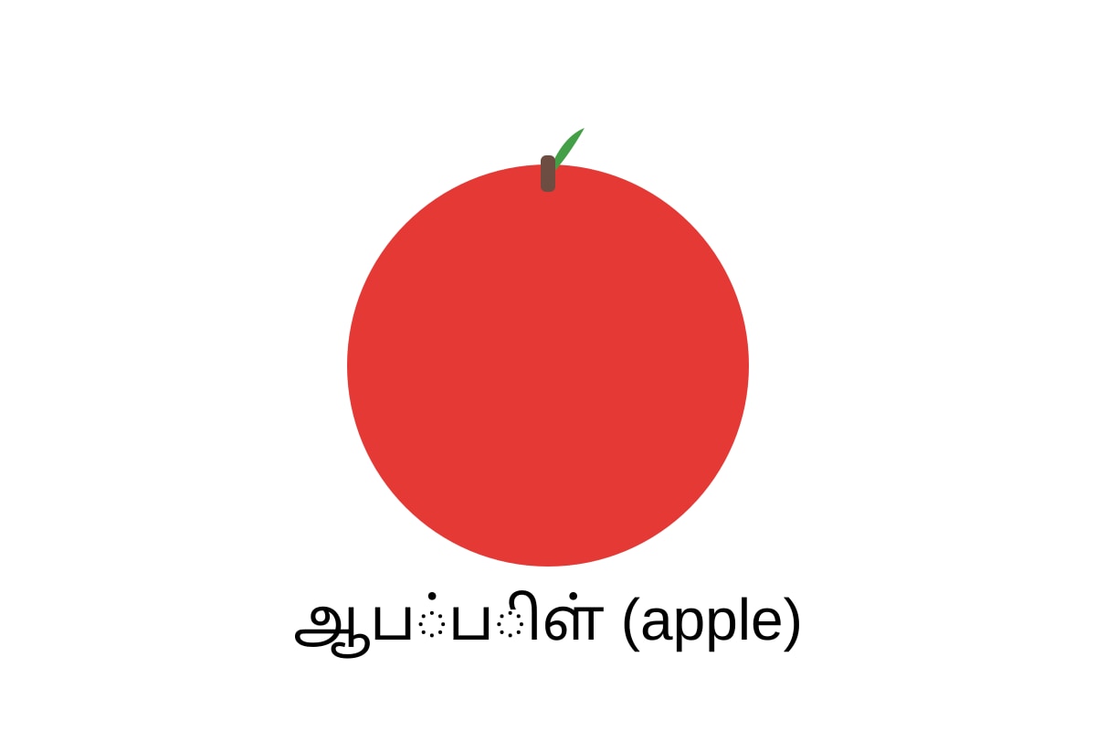 Diagram for Q18 (P1 Tamil)