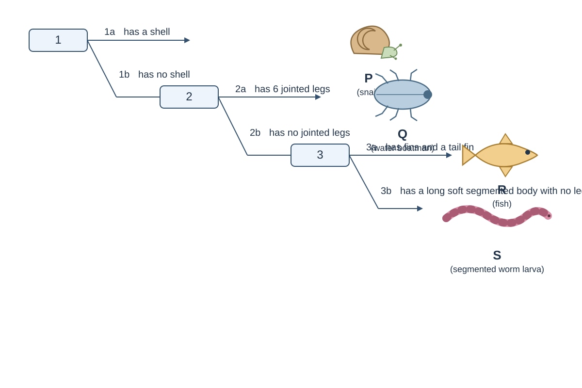 Diagram for Q8 (P5 Science)