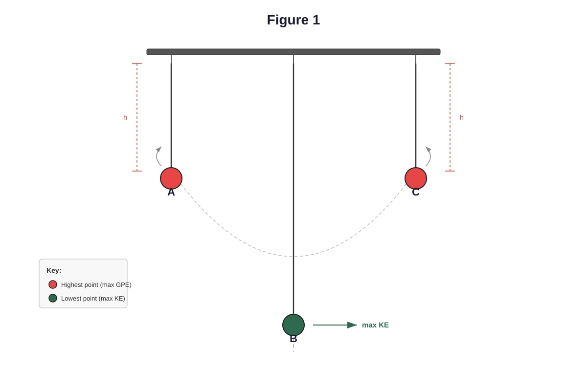 Diagram for placeholder 1 (SEC2 Science)